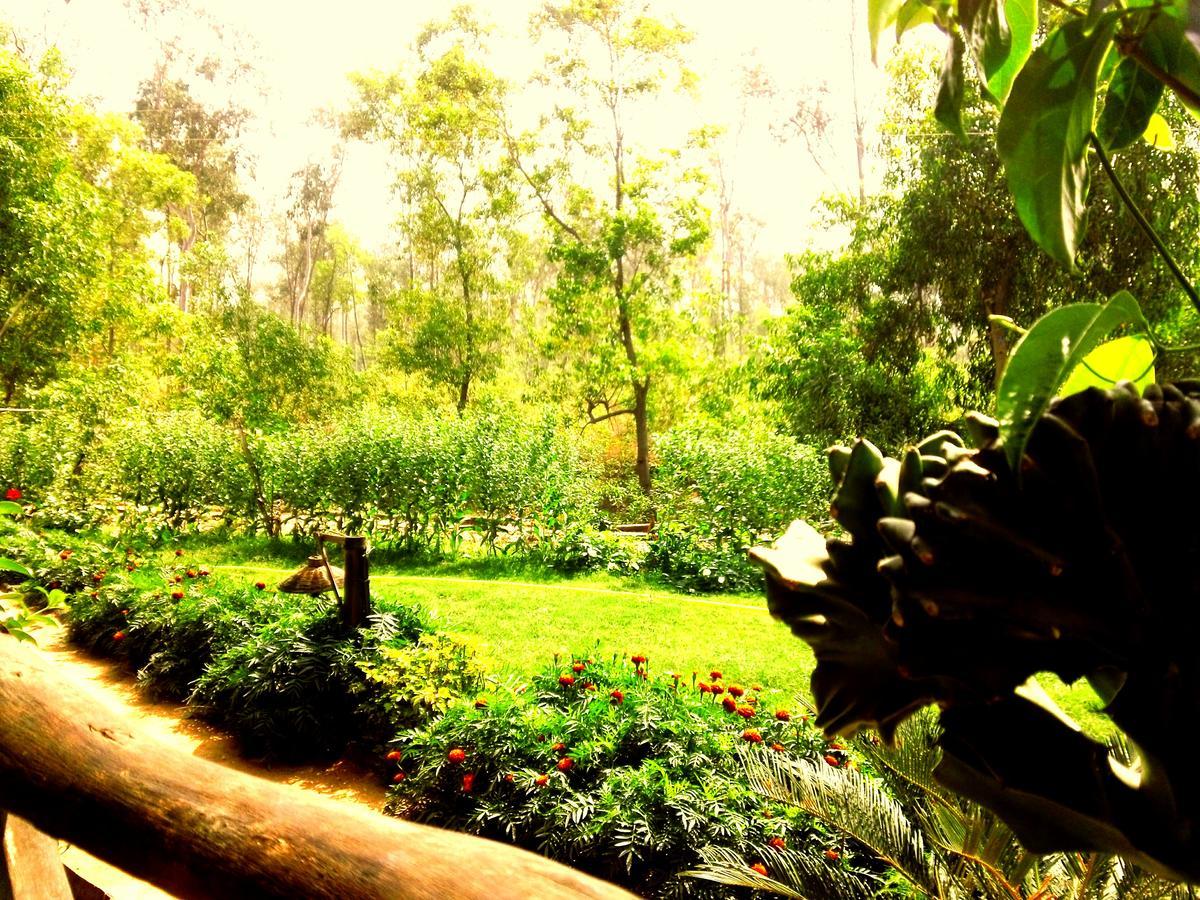 Roshnai Village Resort Bolpur Kültér fotó